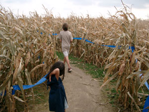 どうもろこし畑の迷路（Corn Maze）
